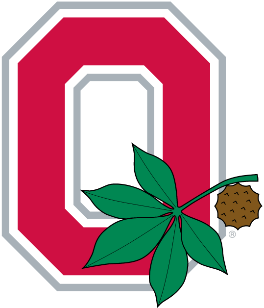 Ohio State Buckeyes 1968-Pres Alternate Logo v2 iron on transfers for clothing...